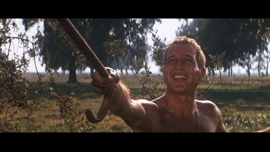 Cool Hand Luke