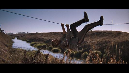 Cool Hand Luke