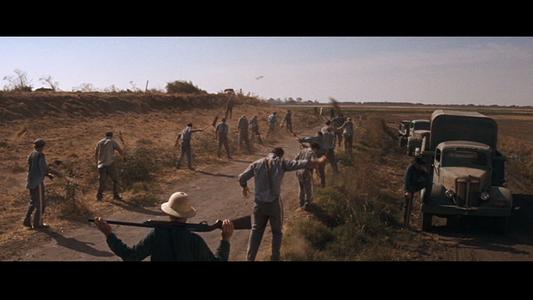 Cool Hand Luke