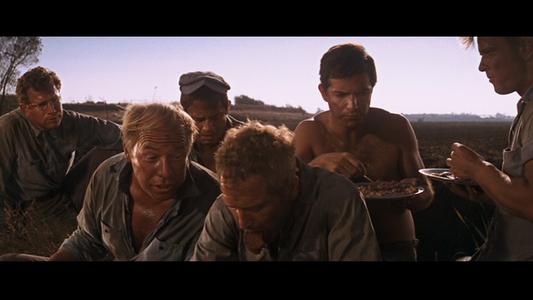 Cool Hand Luke