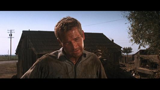 Cool Hand Luke
