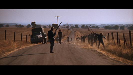 Cool Hand Luke
