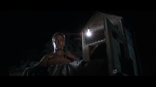 Cool Hand Luke