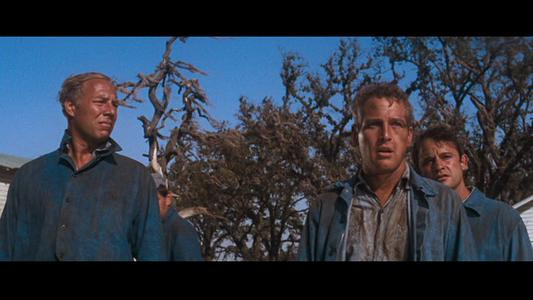 Cool Hand Luke