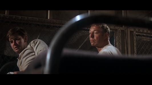 Cool Hand Luke