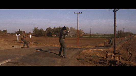 Cool Hand Luke