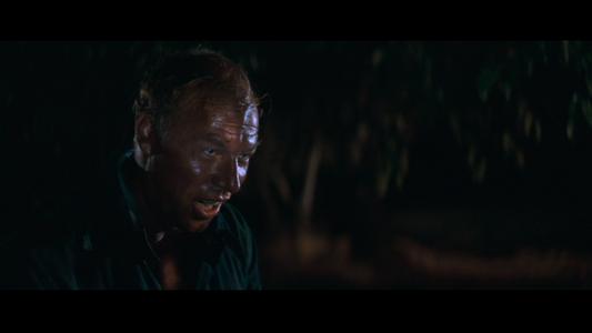 Cool Hand Luke