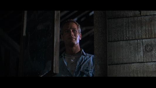 Cool Hand Luke