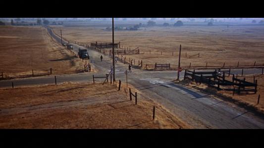 Cool Hand Luke