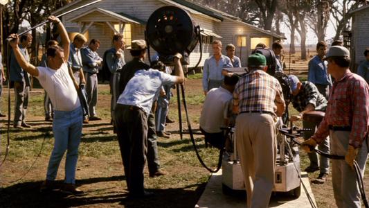 A Natural-Born World-Shaker: Making Cool Hand Luke