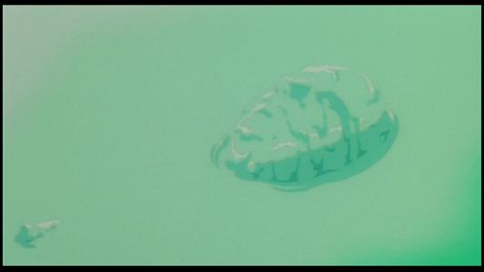 Ghost in the Shell