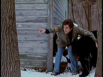 It Seemed Like a Good Idea at the Time