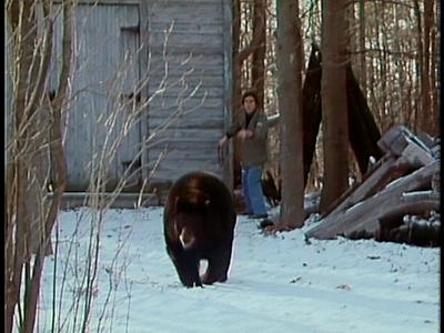 It Seemed Like a Good Idea at the Time