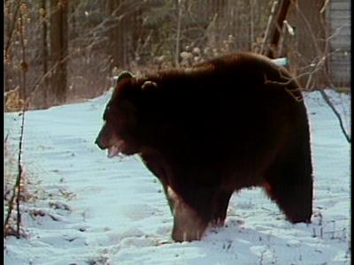 It Seemed Like a Good Idea at the Time