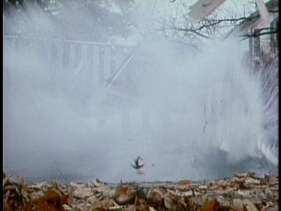 It Seemed Like a Good Idea at the Time