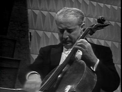 Catalogue's excerpts