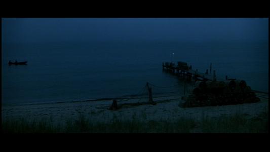Jaws