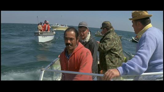 Jaws