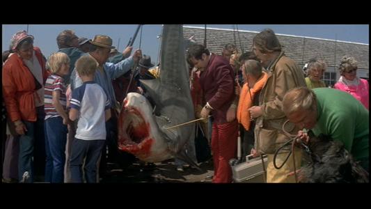Jaws