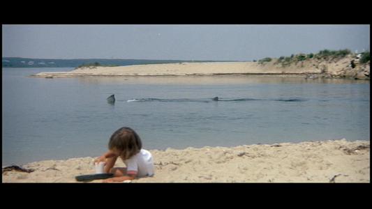Jaws