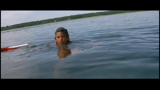 Jaws