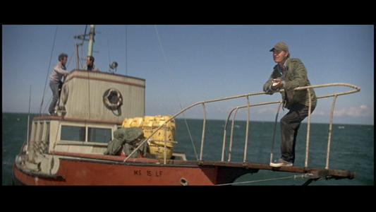 Jaws