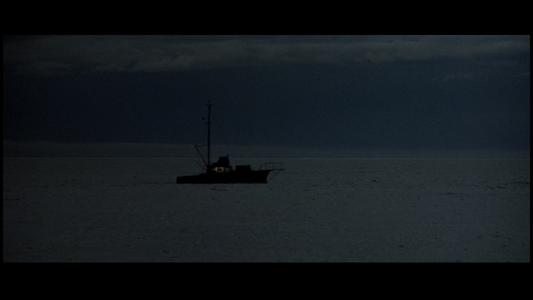 Jaws