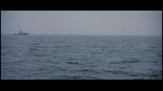 Jaws
