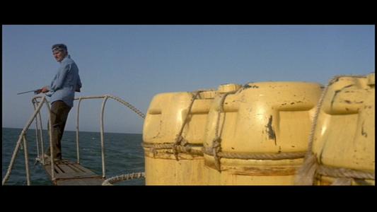 Jaws