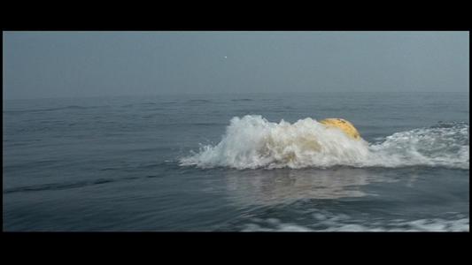 Jaws