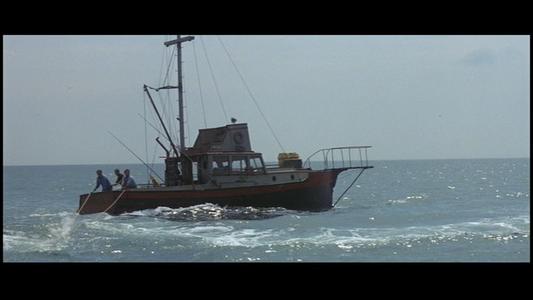 Jaws