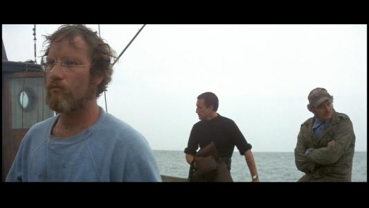Jaws