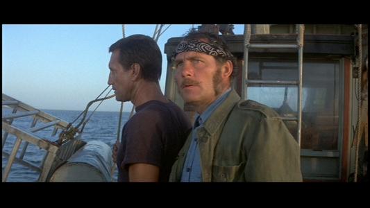 Jaws