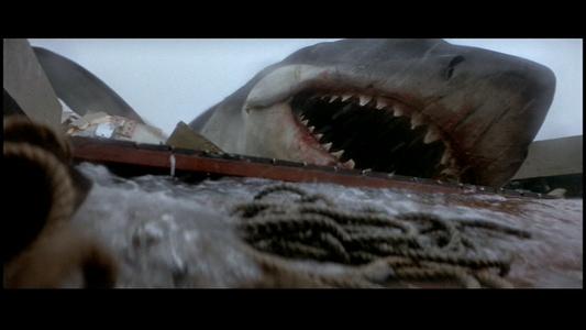 Jaws