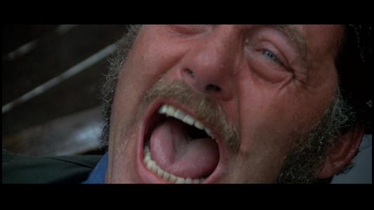 Jaws