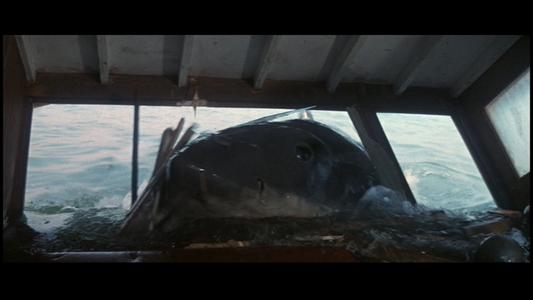 Jaws