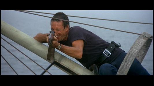 Jaws