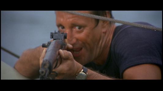 Jaws