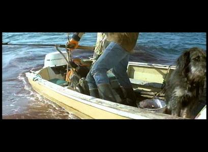Jaws - outtakes