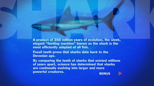 Jaws - Shark World