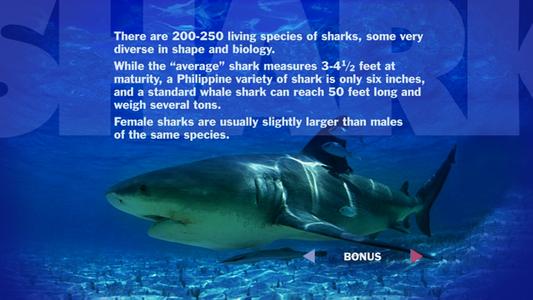 Jaws - Shark World