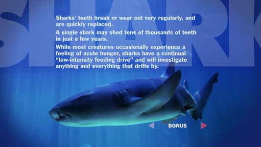 Jaws - Shark World