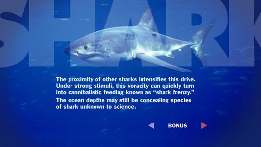 Jaws - Shark World