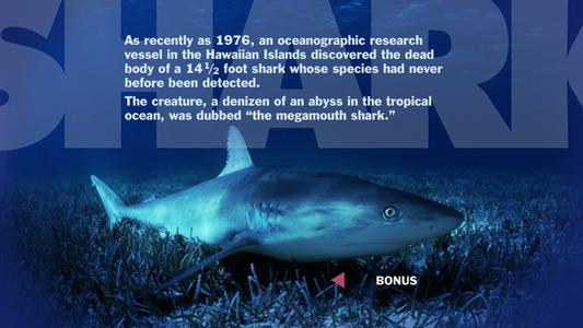 Jaws - Shark World