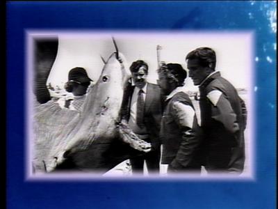 The Jaws Archives: Production Photographs