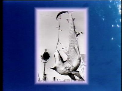 The Jaws Archives: Production Photographs