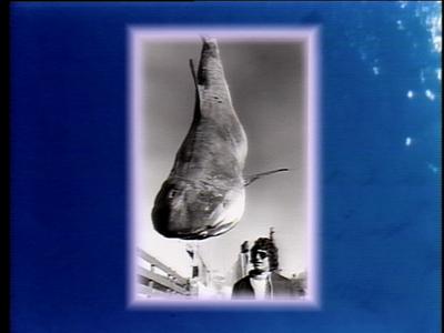 The Jaws Archives: Production Photographs