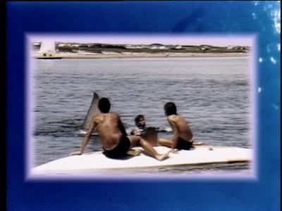 The Jaws Archives: Production Photographs