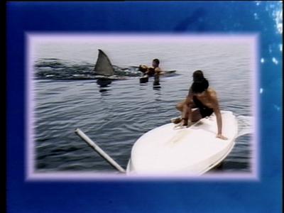 The Jaws Archives: Production Photographs
