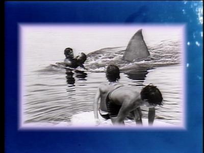 The Jaws Archives: Production Photographs